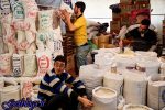 تخممرغ یکساله ۷۰درصد گران شد ، شرح نوسانات قیمتی کالاهای اساسی